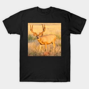 Buck T-Shirt